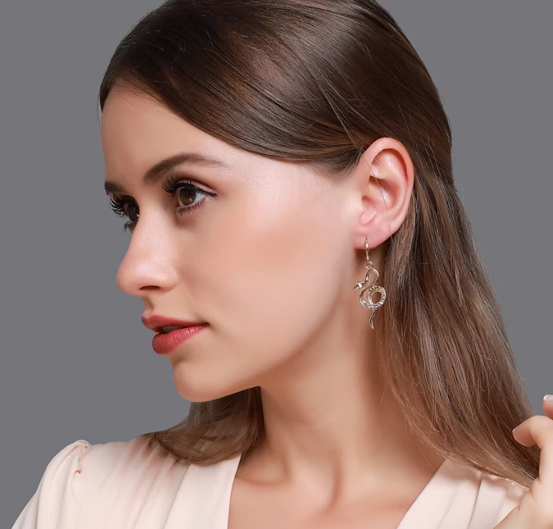 Wind Snake Shape Inlaid Zircon Earrings Women