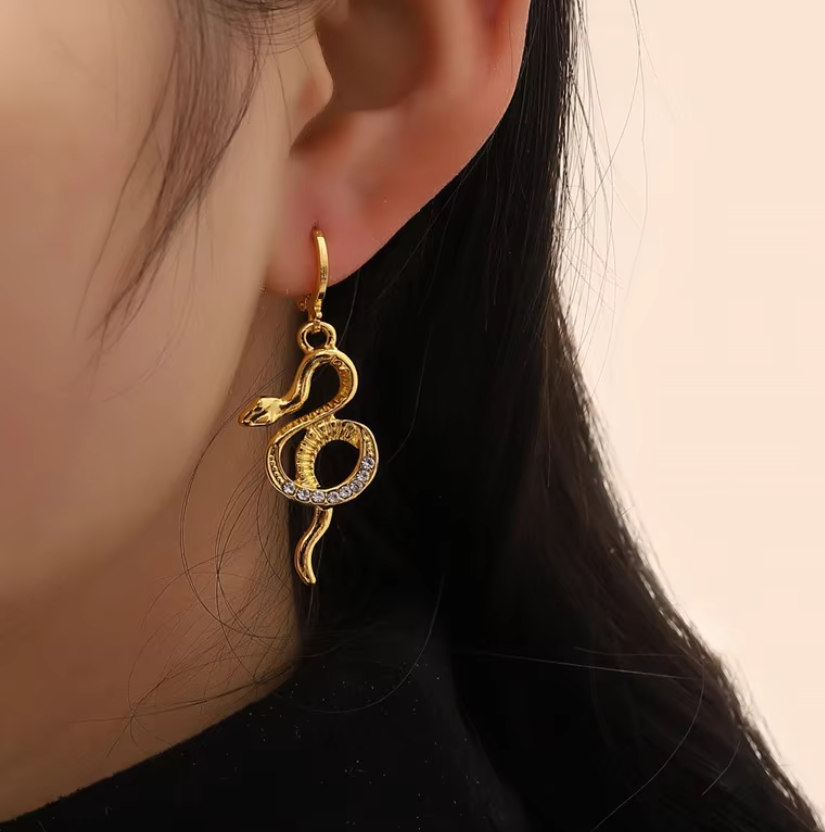 Wind Snake Shape Inlaid Zircon Earrings Women